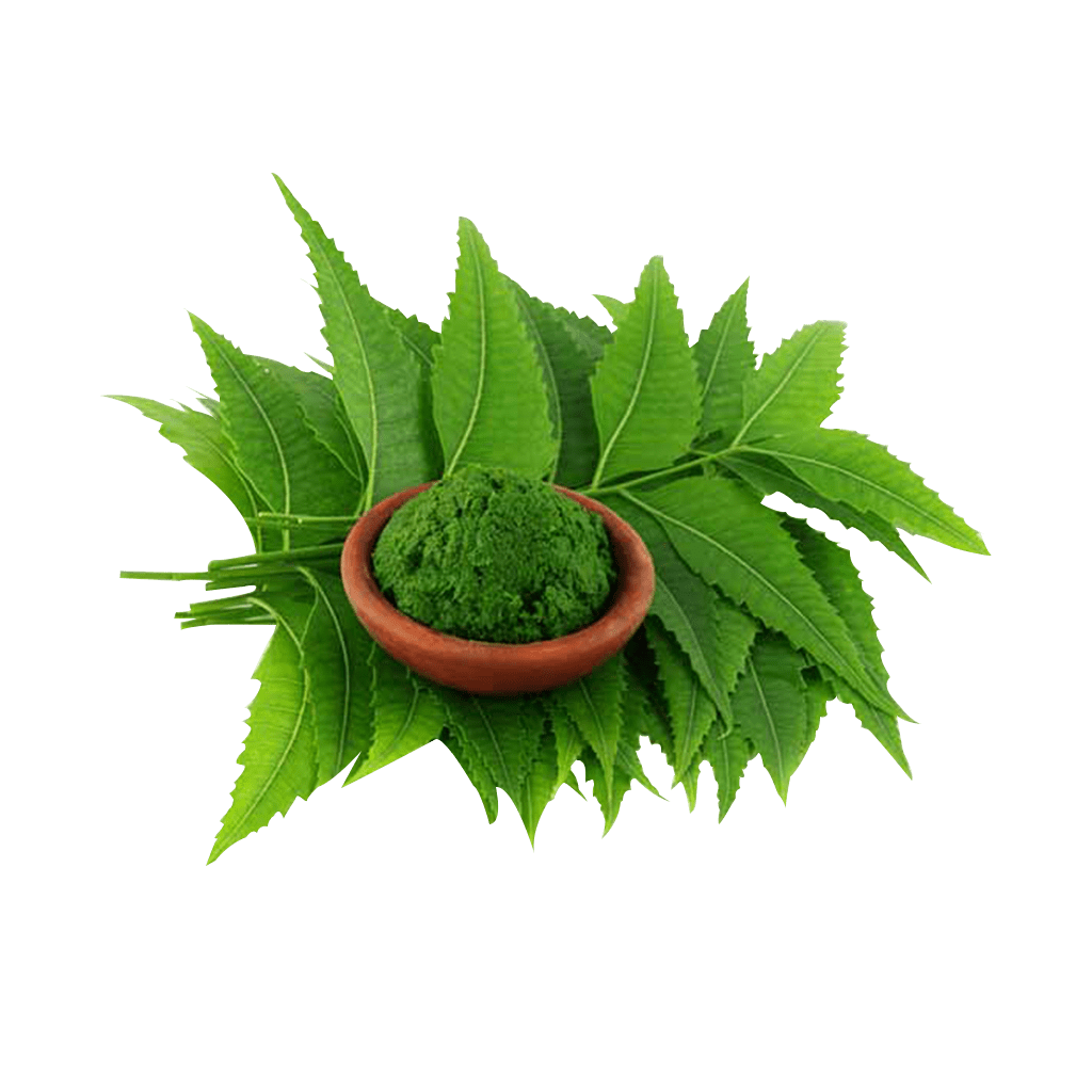 Cereza de café orgánico